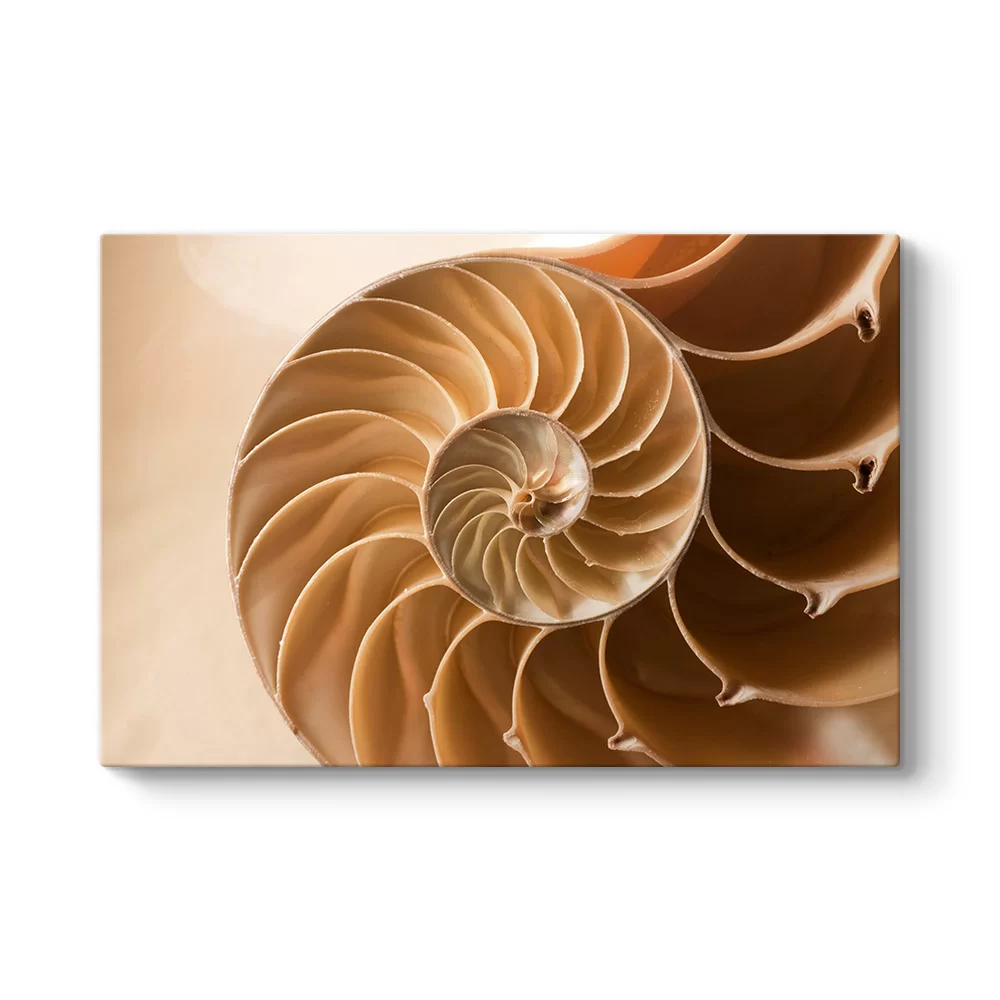 Spiral Tablosu - Model 1